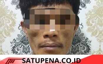 Residivis Pencuri Sawit Dibekuk Polsek Abung Semuli, 22 Tandan Hasil Curian Gagal Dijual