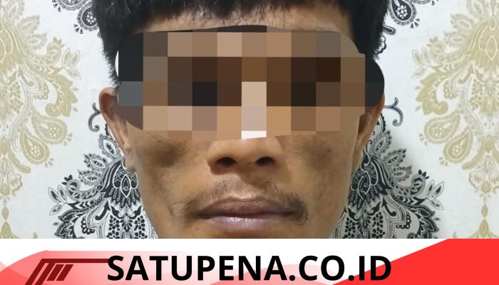 Residivis Pencuri Sawit Dibekuk Polsek Abung Semuli, 22 Tandan Hasil Curian Gagal Dijual