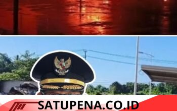 LSM GTI Soroti Kebakaran di PT Futai, Fikri Alkatiri: Negara Gagal Cegah Konflik Lingkungan