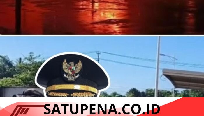 LSM GTI Soroti Kebakaran di PT Futai, Fikri Alkatiri: Negara Gagal Cegah Konflik Lingkungan