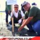 Medco E&P dan BPMA Tanam 1.000 Mangrove di Banda Aceh
