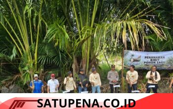 PT Nafasindo Dukung Pelestarian Sagu di Festival Sagu Aceh Singkil 2026