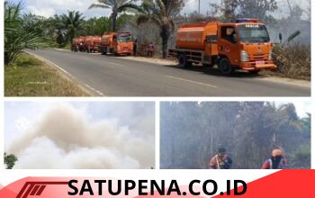 Hutan dan Lahan Di Kotawaringin Terbakar