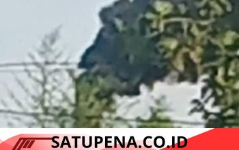 Asap Hitam Diduga Cemari Permukiman, PMKS PT Sisirau Didesak Diinvestigasi Total