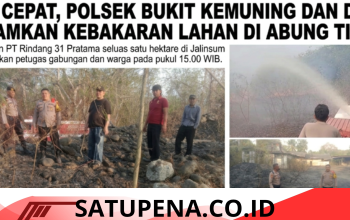 Gerak Cepat, Polsek Bukit Kemuning dan Damkar Padamkan Kebakaran Lahan di Abung Tinggi