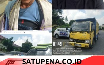 Satreskrim Polres Pelalawan Ungkap Kasus Illegal Logging, Dua Truk Bermuatan 12 Kubik Kayu Ilegal Diamankan