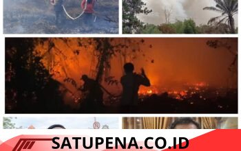 Karhutla di Kotim Semakin Tak Terkendali, Asap Kepung Sampit