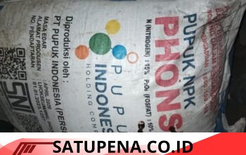 Sejumlah Kelompok Tani di Jagong Jeget Keluhkan Penyaluran Pupuk Subsidi