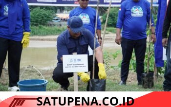 1.000 Bibit Bambu Ditanam di Tepi Sungai Tamiang, Benteng Ekologis Pasca Bencana