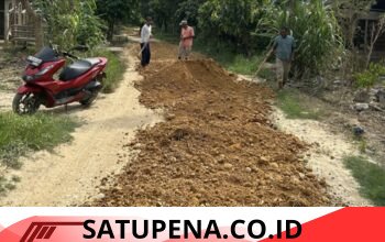 Padat Karya Tunai Desa 2026, Gampong Paya Deumam Sa Laksanakan Pemeliharaan Jalan Desa