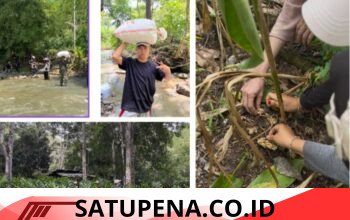 Mahasiswa PPKPM IAIN Takengon Kelompok 2 Kenali Potensi Hasil Bumi Desa Pantan Nangka