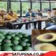 Rahman Kurnia Baru Berhasil Kembangkan Alpukat Hass Genjah Di Kecamatan Bandar