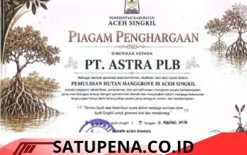 PT Perkebunan Lembah Bhakti Terima Penghargaan Pemulihan Hutan Mangrove di Aceh Singkil