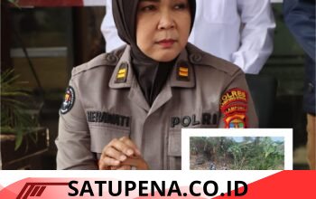 Kecelakaan Berujung Apes: Mobil Masuk Rawa, Kedok Sopir Sebagai DPO Narkoba Malah Terbongkar