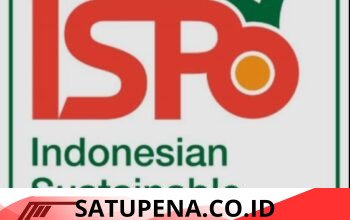 Sertifikasi ISPO Bukan Alasan Abaikan Aturan BBM — PT SKPI Diminta Jelaskan Kontrak Pengangkutan TBS dengan Kontraktor   