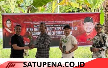 Perkuat Sektor Perkebunan, Petani Kopi di Abdya Terima Bantuan Bibit dari Anggota DPR RI Jamaluddin Idham