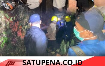Satbrimob Polda Sumsel Batalyon B Pelopor Gerak Cepat Tangani Karhutla di TNKS Bukit Sulap, Api Berhasil Dipadamkan Dini Hari