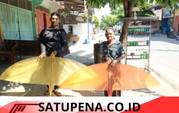 Langit Tanah Pasir Jadi Saksi, Si-Tombak Bawa Warisan Indatu ke Panggung 800 Tahun Pasee  ‎