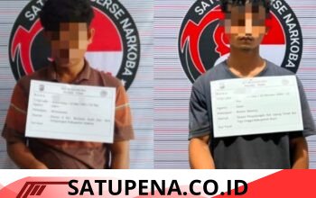 Kapolres Toba AKBP V.J Parapaga, S.I.K melalui Kasat Narkoba Iptu Tri Pranata Purba, S.Sos, MH, pada Rabu (16/9) membenarkan adanya penangkapan kedua pelaku narkotika tersebut