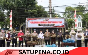 Polres Aceh Tengah Musnahkan 101,9 Kilogram Ganja, Kapolres Tegaskan Bandar Narkoba Jangan Coba Bermain di Takengon