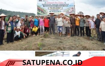 Dorong Kesejahteraan Petani, Pemkab Tapanuli Utara Gerakkan Penanaman 2,2 Juta Batang Kopi Arabika