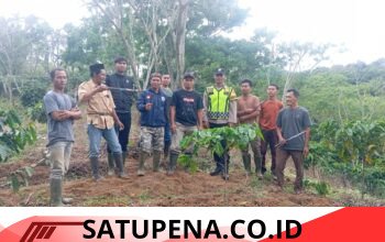 Warga Giring Gajah Liar Secara Swadaya, Konflik di Pancar Jelobok Tak Kunjung Ditangani Serius
