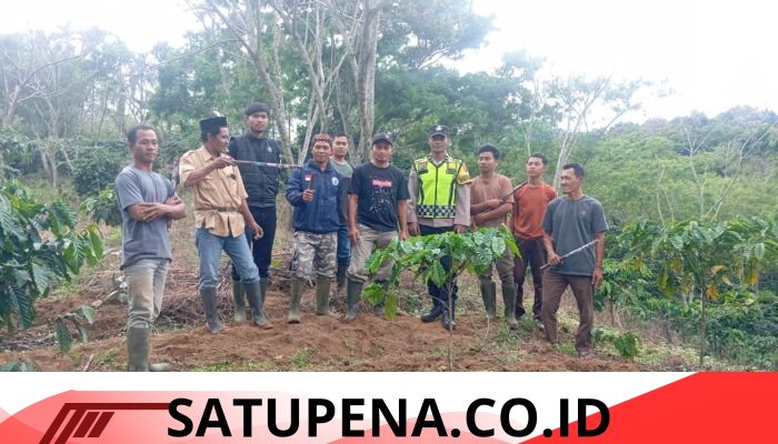 Warga Giring Gajah Liar Secara Swadaya, Konflik di Pancar Jelobok Tak Kunjung Ditangani Serius