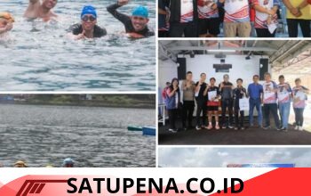 Dorong Sport Tourism Danau Toba, Bupati Taput Buka Tapanuli Highlands Festival 2026 dan Ikut Berenang Sibandang–Muara