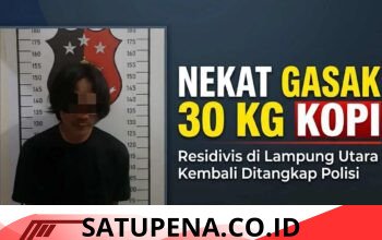 Nekat Gasak 30 Kg Kopi di Gudang Terbuka, Residivis di Lampung Utara Kembali Ditangkap Polisi