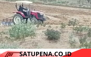 Sengketa HGU Jorok Mata Malam Memanas, Lahan yang Dipersoalkan Kembali Dibajak