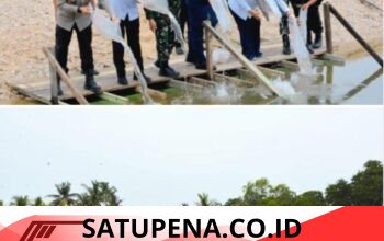 Kolaborasi Satgas PRR, KKP dan Pemko Langsa, Pulihkan 300 Hektare Tambak Masyarakat Pascabencana