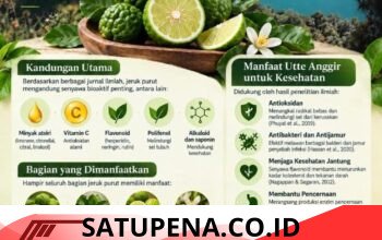 Marpangir 2026 Hadir di Pantai Pakkodian, Angkat Kembali Warisan Budaya Batak