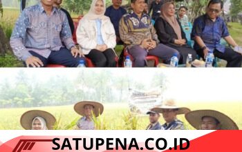 Antisipasi Kabut Asap Karhutla, Pemko Langsa Bagikan Masker kepada Masyarakat