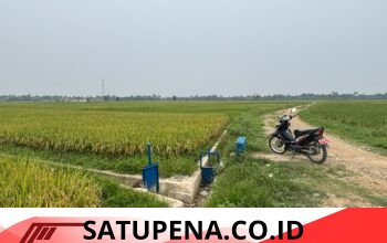 Irigasi Tersier Dukung Produktivitas Sawah, Geuchik Meuye Tujoh Apresiasi Perhatian HRD dan Ilham Pangestu