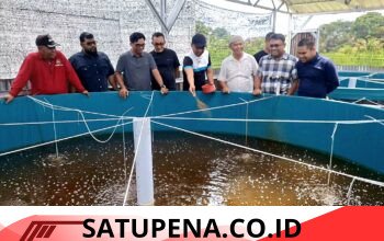 Anggota DPR RI Jamaluddin Idham Kunker ke Aceh Barat, Tinjau Usaha Budidaya Ikan lele dan ayam petelur
