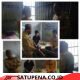 DSI Kota Lhokseumawe Berikan Pembinaan dan Arahan Terhadap Pelanggar Qanun Jinayat Jarimah Liwath   