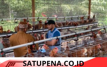 Jamaluddin Idham Turun Langsung ke Lapangan, Pastikan Bantuan untuk Petani dan Peternak Abdya Tak Berhenti di Penyaluran