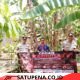 Polsek Abung Tengah Imbau Warga Tidak Membakar Hutan dan Lahan di Pekurun Selatan