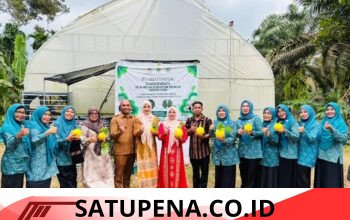 ‎Sentuhan Teknologi Jepang di Paya Bakong, Miharu Farm Bawa Pertanian Aceh Utara ke Era Digital